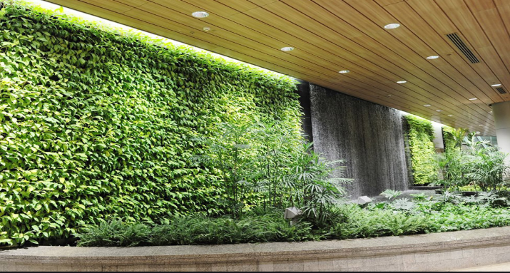 Thiết kế vườn tường đứng giải pháp cho không gian sống xanh – sạch -đẹp